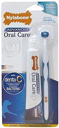 nylabone dog toothbrush