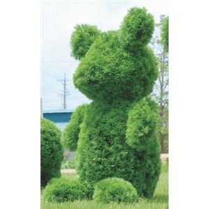 Amazon｜光の楽園【動物トピアリー／フェイクグリーン】72cm ベアー ds