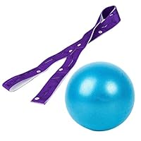 Sangle De Transport Pour Ballon De Yoga / Gym - Réglable Et Légère - Pour Équilibre, Étirements, Pilates - Nylon