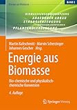Energie aus Biomasse: Bio-chemische und physikalisch-chemische Konversion
