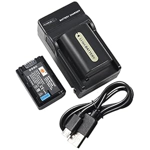 DSTE NP-FH50 Li-Ionen Batterie (2-Pack) und Micro USB Ladegerät Anzug kompatibel mit Sony DSLR-A230, DSLR-A290, DSLR-A330, DSLR-A380, DSLR-A390, DSC-HX1, DSC-HX100V, DSC-HX200V, HDR-TG5V