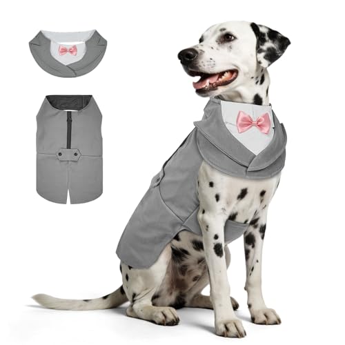 Supet Dog Tuxedo and Bandana Set with Bow Tie, Formal Outfit for Wedding Birthday Party Graduation Valentines, Pet Suit Clothes for Large Medium Small Dogs (Grey, 2XL)