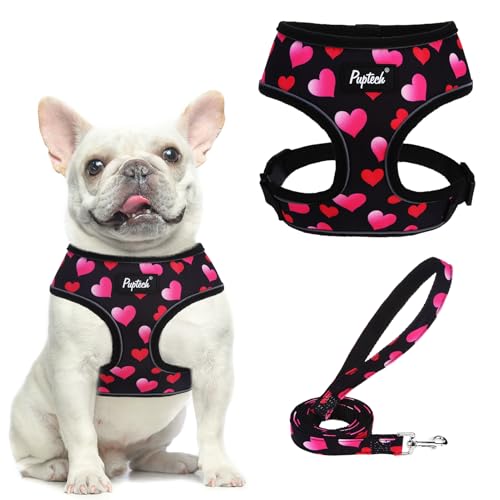 PUPTECK Small Dog Harness and Leash Set No Pull for XS XXS Sized Dogs Puppy