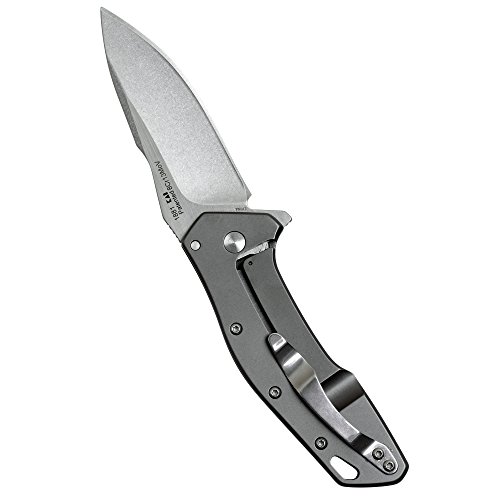 Kershaw Eris Folding Pocket Knife (1881); 3-Inch Stainless Steel Drop-Point Blade Featuring Speedsafe Assisted Opening, Titanium-Coated Handle, Secure Frame Lock And Reversible Pocket Clip , Black #TOP2