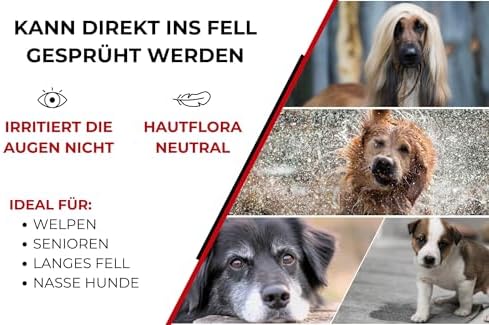 Geruchsentferner gegen Hundegeruch – Effektiv für Starkgerüche, direkt ins Fell sprühen, 500ml – Neutralisiert schnell &