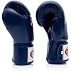 Fairtex BGV1 Boxing Gloves with Deodorizer Inserts | Shock Absorbent Gloves + Odor & Moisture Absorber for Boxing, MMA, Muay Thai | Perfect Bundle for Clean & Durable Gear