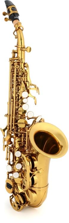 Amazon.com: BetterSax Classic Curved Soprano Saxophone – Pro