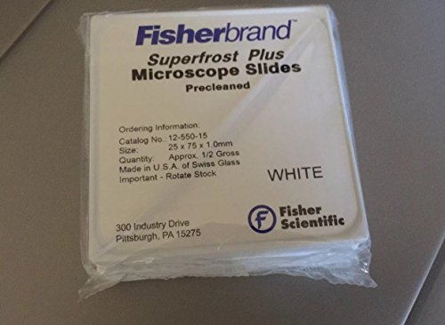 Superfrost Plus Micro Slide [ 1 Pack(s)]