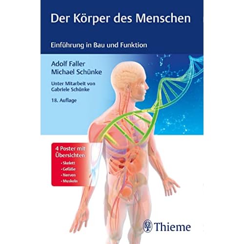 Der Körper des Menschen: Einführung in Bau und Funktion