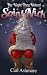 The Night They Nicked Saint Nick (A Xmas story for the whole family)