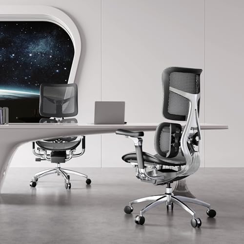 Image of SIHOO Doro S300 Ergonomic Office Chair, Computer Chair, Gaming Chair with Dual Dynamic Lumbar Support, 6D Coordinated Armrests, Adjustable Rolling Chair (Light Black Italian Velvet Mesh)