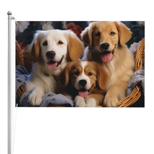 Drapeaux 122 x 183 cm grand format en polyester 200D robuste avec œillets en laiton