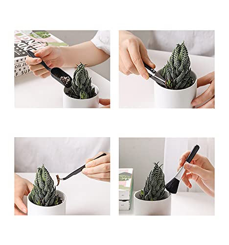 Kit de Herramientas para Plantas Suculentas 14 Piezas miniatura 5