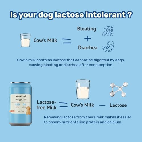 Image of Absolut Pet Lactose Free Milk for Dogs, Ready to Serve High Protein Milk with Calcium & Vitamins | Complete Daily Nutrition with Easy Digestion (120ml, Pack of 4)