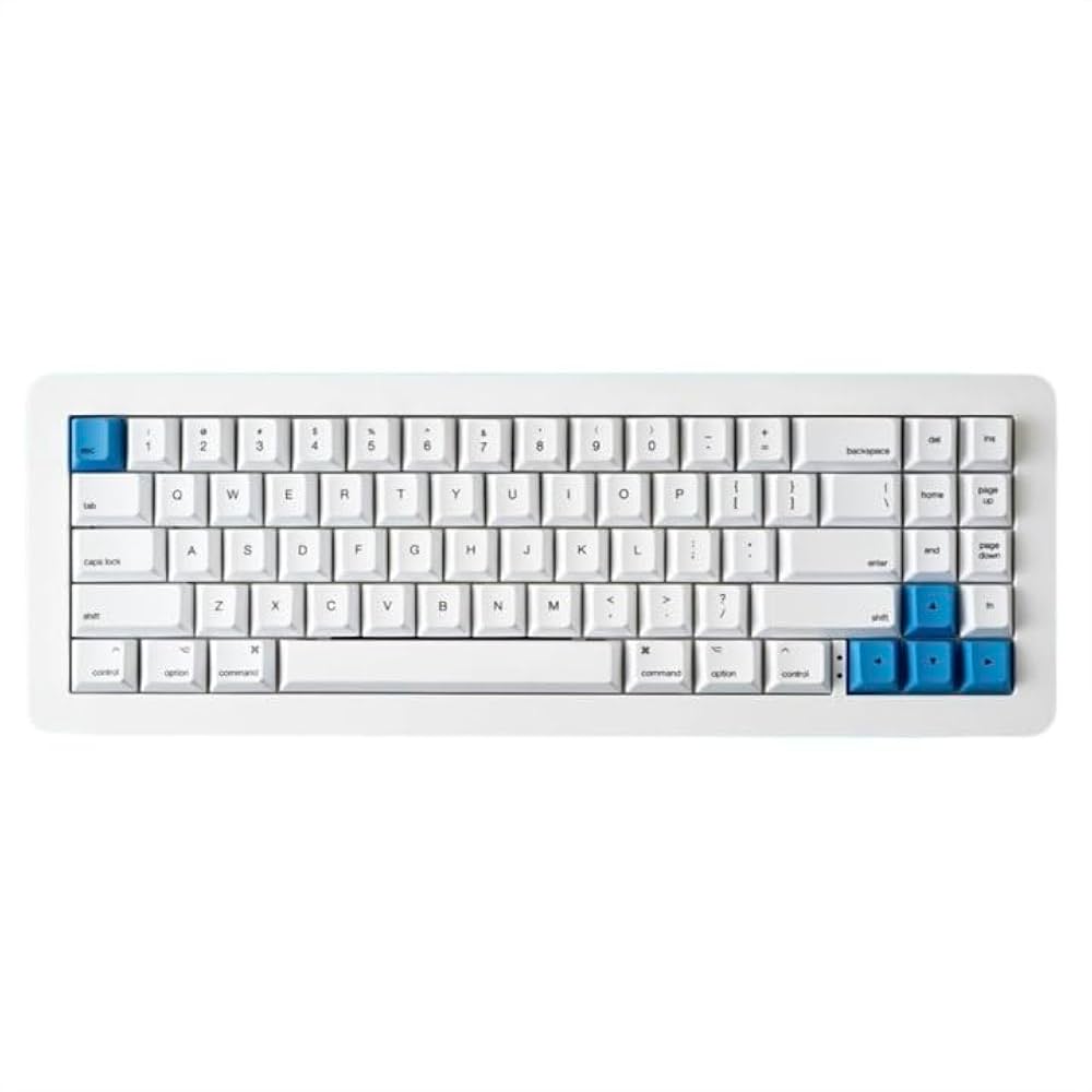 inputclub whitefox Keyboard メカニカル The WhiteFox Keyboard Review - YouTube