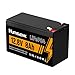 HumsiENK 12V 8Ah LiFePO4 Battery Lithium Built In Smart BMS, Portable Size Lithium Battery 15000 Deep Cycles 10 Years Lifespan for Residential Energy Storage
