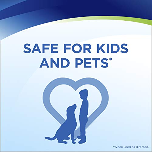 Bissell Woolite Instaclean Pet Full Size Machine Formula, 32 Oz, Blue #TOP4