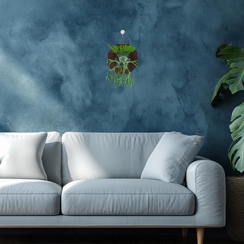 Support de jardinière en bois composite premium pour plante murale