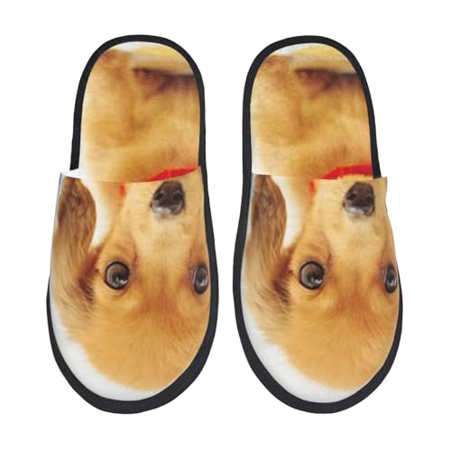 [JECASS]  lC v[g Aj Xbp  Y 􂦂 gC qp p E Xbpjp LN^[ ObY  fB[X ~ 킢 qpl