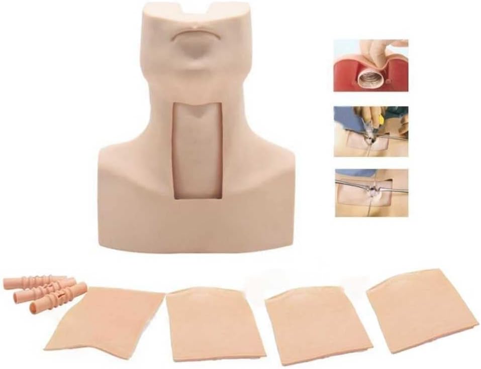 Tracheotomy Care Training Manikin PVC Tracheostomy Simulator Model with Aluminum Case for Hospitals, Schools, Research Centre etc
