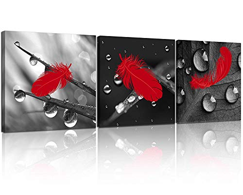 NAN Wind 3 Pcs Red Wall Art Canvas Prints Red Feather on The Drops of Water Black and White Wall Art Abstract Wall Decor Paintings on Canvas Stretched and Framed Ready to Hang for Home Decor