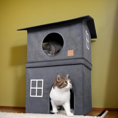 Maison pour chat grand format avec lits superposés d'intérieur