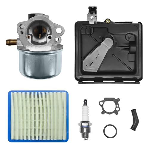Carburateur 799868 Briggs Stratton 120-122 Series 4-7 HP avec Filtre