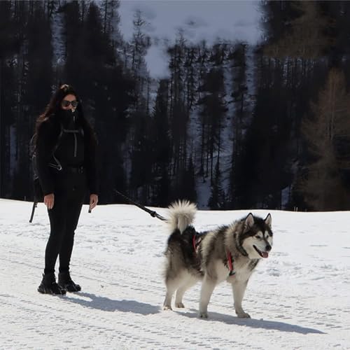 SOYUZERISH Schlittenhundegeschirr Hundeschlittengeschirr Haustiergewicht Ziehen Schlittengeschirr Mushing X-Back Geschirr for große Hunde Husky Canicross Skijöring Scootering (Blau, L)