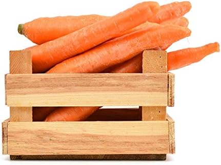 Carrot Koral Seeds - Daucus carota -