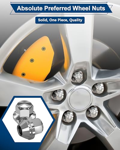 RUIZHI 20 pcs Alloy Wheel Nuts - M12x1.5 | 19mm Hex with Taper Washer - High-Strength Lug Nuts Compatible with Ford F-150/Escort, Ford Fiesta Focus Fusion, for Lincoln (Set)