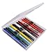 Jinhao Swan Fountain Pen Extra Fine Nib Disposible Pen Set of 12 PCS, Transparent Diversity Color Pen Case with Refillable Converters