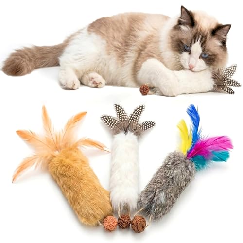 Cat-Toys-with-Rabbit-Feather3pcs-Kitten-Catnip-Toy-Gall-Fruit-Treat-Crinkle-Paper-for-Kicking-Teeth-Cleaning-Stress-Relief-for-Indoor-Cats-Interactive-Christmas-Birthday-Gift Cat Toys with Rabbit Feather,3pcs Kitten Catnip Toy Gall Fruit Treat & Crinkle Paper for Kicking Teeth Cleaning & Stress Relief for Indoor Cats Interactive Christmas Birthday Gift - Image 1