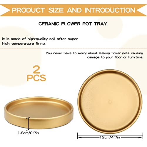 Lnq Luniqi Round 4 Inch Ceramic Plant Saucer Drip Tray Set Of 2 For Indoor Small Flower Pots Home Garden Outdoor Flower Plant Pot,Gold Saucers #TOP1