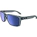 Oakley Men's Holbrook Sunglass, Crystal Black/Ice Iridium