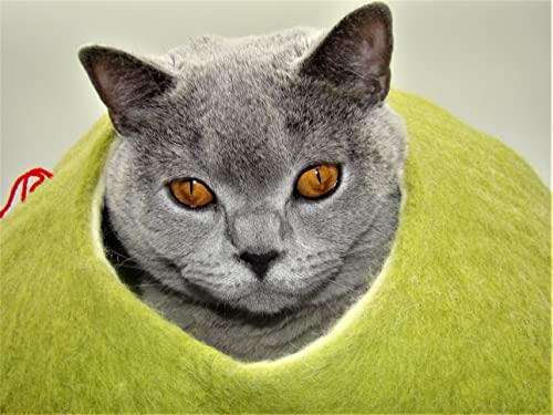 Kivikis Cat Cave, House, Bed, Nap, Cocoon Handmade From Natural Sheep Wool, Colour Birch Green (Xl 8-12 Kg/17-26 Pounds) #TOP3