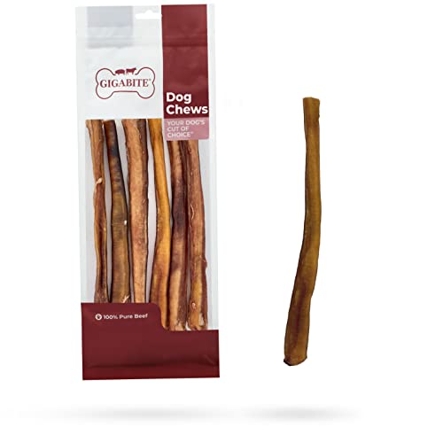 Image of GigaBite Bully Sticks for Dogs All Natural Beef Pizzle Dog Chews, Odor & Rawhide Free Dog Treats, Long Lasting High Protein Chews Digestible Dental Dog Treat - Sticks (Premium 12 inch), Pack of 6