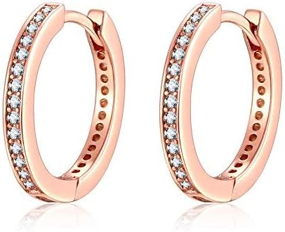 Qings 925 Sterling Silver Earrings, Rose Gold Small Hoop Stud Earrings with Cubic Zirconia Simulated Diamond Gifts for Lady women Girls