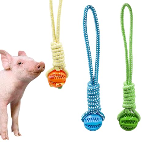 3 Pack Treat Dispenser Ball