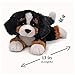 GUND Randle Bernese Mountain Dog, Premium Stuffed Animal Plush for Ages 1 and Up, Black/Brown, 13”