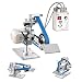 VEVOR Bandschleifmaschine 550 W, Bandschleifer mit 3 Stk. 762x25,4 mm Schleifbändern, 200-5000 U/min Verstellbarer Bandpolierer mit Dualmodi & Max. 21 m/s Bandgeschwindigkeit für Metallbearbeitung