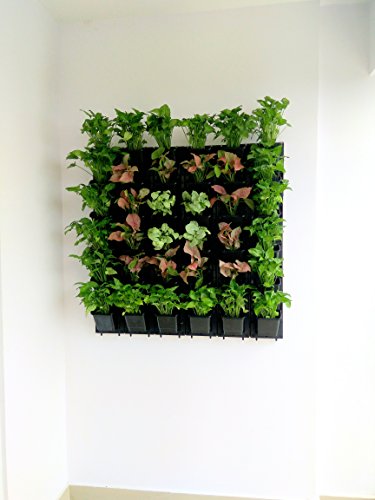 Image of Garden Vertical Hook Pot, 10 Pcs, Black Colour