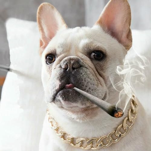 Hundetrainings-Würgekettenhalsbänder aus Metall, luxuriöses Hundehalsband, goldene Kette, Halsband für Bulldoggen, kleine und mittelgroße Hunde