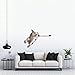 Catastrophic Creations Cat Tree with Hammock Perch – Mounting Wall Cat Shelves w/Canvas Fabric – Bamboo Wood Cat Tree Floating Steps – Lounger & Climber Cat Trees – Modern Cat Furniture