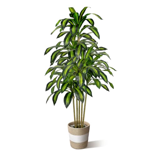 LuceAlberi 5FT Artificial Dracaena Tree - Tall Faux Dracaena with White Planter, Artificial Plants Indoor, Fake Plant Build Boho-Chic Basket, Fake Tree for Outdoor Home Office Decor