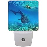 Enchufe ultra delgado en luces nocturnas para habitación de niños, cuarto de niños, dormitorio, sala de estar, baño, pasillo, cocina, garaje.