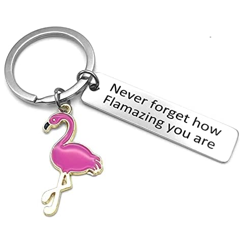 Flamingo Keychain Never Forget How Flamazing You are Keychain Flamingo Gift Cover