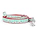 The Worthy Dog Red Cherry Leash 5ft Stylish Blue/Red Pattern, Comfortable Durable Nylon Fits Small, Medium, Large Dogs, Fun Outdoor Puppy Walking Accessory-Large