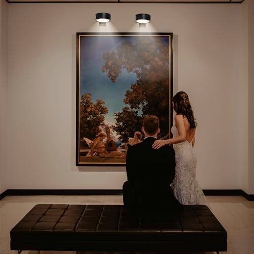 JXINLODGEG 3 peças de luzes de imagem para parede operadas por bateria, luz de pintura de LED, contr