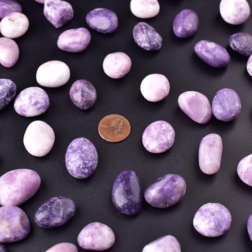 Image of Lepidolite Healing Crystal Stone Set - 24 Pieces, 0.6 inch Natural & Polished Stones for Healing, Meditation, Reiki, Chakra, Crafting & Decoration