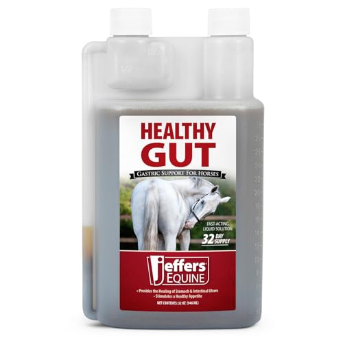 Jeffers Equine Healthy Gut Gastric Support – Liquid Digestive Supplement for Horses Prone to Ulcers, Easy to Feed Formula, Supports Gut Comfort & Balanced Digestion – 32 oz (32 Day Supply)